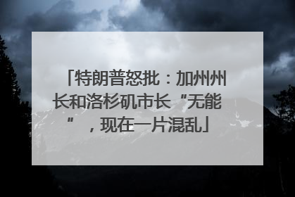 特朗普怒批：加州州长和洛杉矶市长“无能”，现在一片混乱