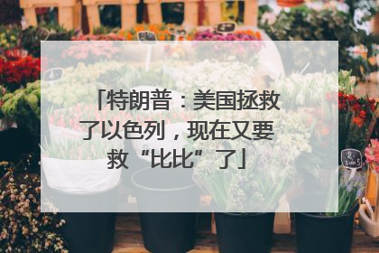 特朗普：美国拯救了以色列，现在又要救“比比”了