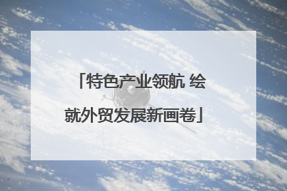特色产业领航 绘就外贸发展新画卷
