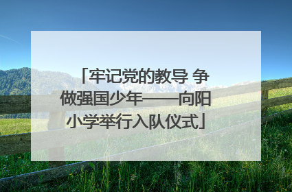 牢记党的教导 争做强国少年——向阳小学举行入队仪式