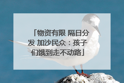 物资有限 隔日分发 加沙民众：孩子们饿到走不动路