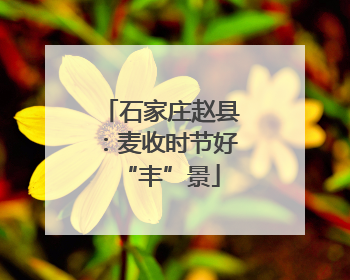 石家庄赵县：麦收时节好“丰”景