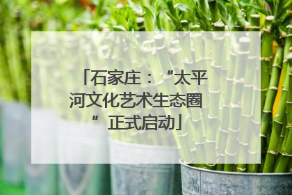 石家庄：“太平河文化艺术生态圈”正式启动