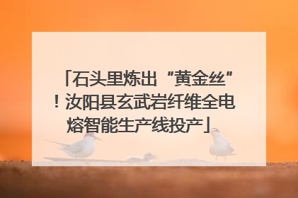 石头里炼出“黄金丝”！汝阳县玄武岩纤维全电熔智能生产线投产