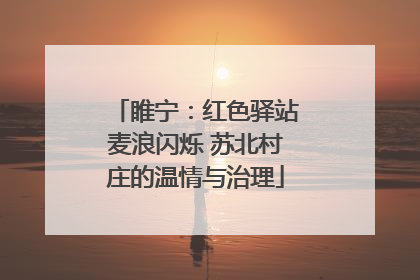 睢宁：红色驿站麦浪闪烁 苏北村庄的温情与治理