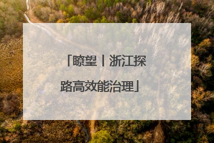 瞭望丨浙江探路高效能治理