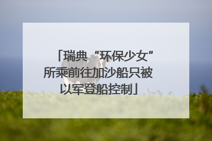 瑞典“环保少女”所乘前往加沙船只被以军登船控制