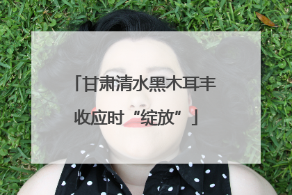 甘肃清水黑木耳丰收应时“绽放”