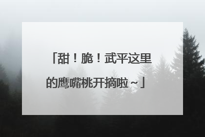 甜！脆！武平这里的鹰嘴桃开摘啦～