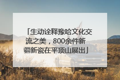 生动诠释豫哈文化交流之美，800余件新疆新瓷在平顶山展出