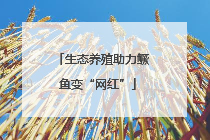 生态养殖助力鳜鱼变“网红”