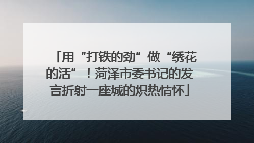 用“打铁的劲”做“绣花的活”！菏泽市委书记的发言折射一座城的炽热情怀