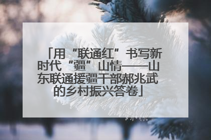 用“联通红”书写新时代“疆”山情——山东联通援疆干部郝兆武的乡村振兴答卷