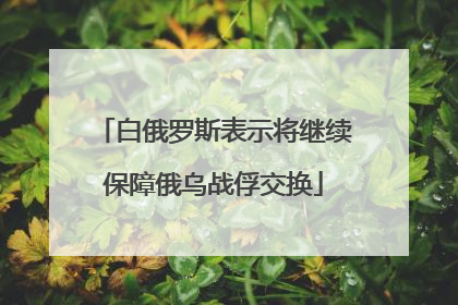 白俄罗斯表示将继续保障俄乌战俘交换