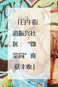 白午街道振兴社区：“微菜园”喜获丰收