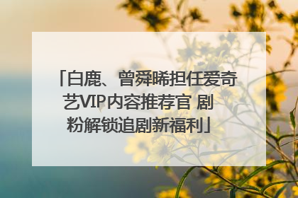 白鹿、曾舜晞担任爱奇艺VIP内容推荐官 剧粉解锁追剧新福利