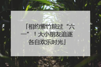 相约紫竹院过“六一”！大小朋友追逐各自欢乐时光