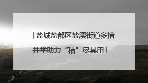 盐城盐都区盐渎街道多措并举助力“秸”尽其用