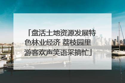盘活土地资源发展特色林业经济 荔枝园里游客欢声笑语采摘忙