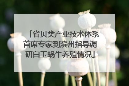 省贝类产业技术体系首席专家到滨州指导调研白玉蜗牛养殖情况