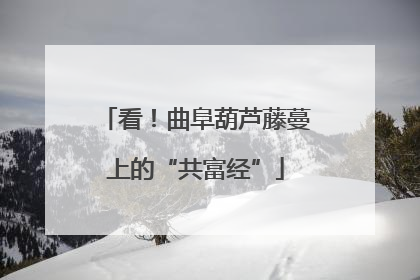 看！曲阜葫芦藤蔓上的“共富经”