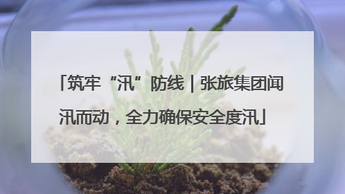 筑牢“汛”防线｜张旅集团闻汛而动，全力确保安全度汛