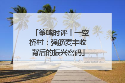 筝鸣时评丨一空桥村：强筋麦丰收背后的振兴密码