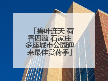 碧叶连天 荷香四溢 石家庄多座城市公园迎来最佳赏荷季