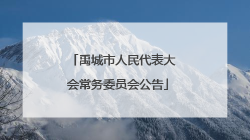 禹城市人民代表大会常务委员会公告