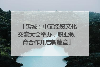 禹城：中菲经贸文化交流大会举办，职业教育合作开启新篇章