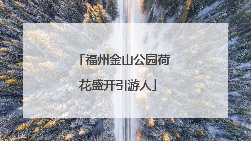福州金山公园荷花盛开引游人