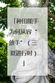 种田能手为何从容“放手”（三夏进行时）