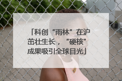 科创“雨林”在沪茁壮生长，“硬核”成果吸引全球目光