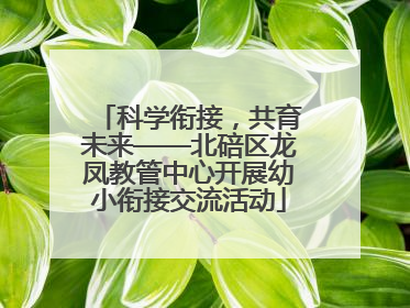科学衔接，共育未来——北碚区龙凤教管中心开展幼小衔接交流活动