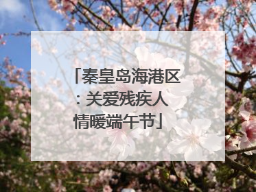 秦皇岛海港区：关爱残疾人 情暖端午节