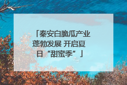 秦安白脆瓜产业蓬勃发展 开启夏日“甜蜜季”