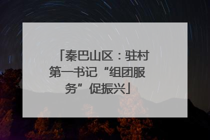 秦巴山区：驻村第一书记“组团服务”促振兴
