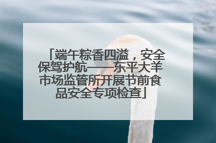 端午粽香四溢，安全保驾护航——东平大羊市场监管所开展节前食品安全专项检查