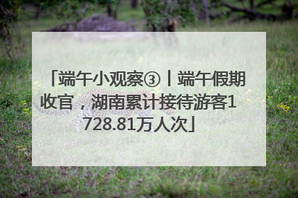 端午小观察③丨端午假期收官，湖南累计接待游客1728.81万人次