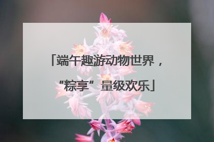 端午趣游动物世界，“粽享”量级欢乐