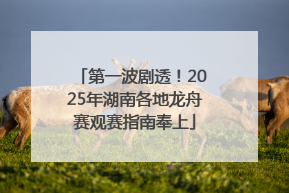 第一波剧透！2025年湖南各地龙舟赛观赛指南奉上