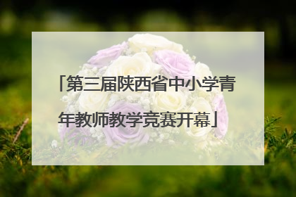 第三届陕西省中小学青年教师教学竞赛开幕