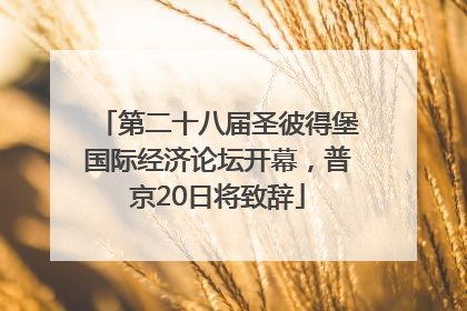 第二十八届圣彼得堡国际经济论坛开幕，普京20日将致辞