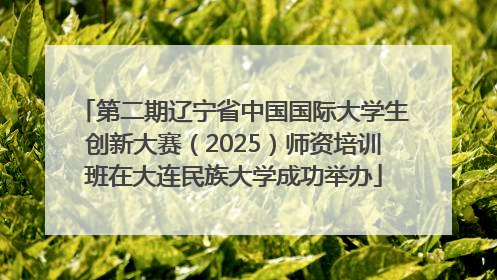 第二期辽宁省中国国际大学生创新大赛（2025）师资培训班在大连民族大学成功举办