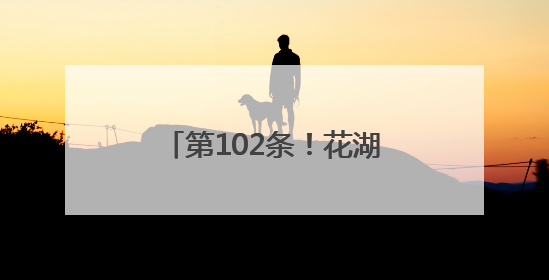 第102条！花湖机场全货机18小时直飞美国达拉斯