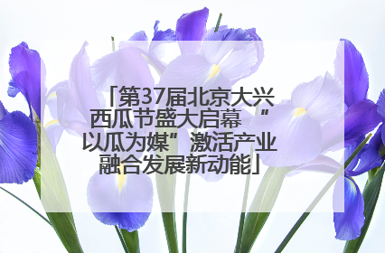 第37届北京大兴西瓜节盛大启幕 “以瓜为媒”激活产业融合发展新动能