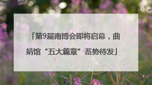 第9届南博会即将启幕，曲靖馆“五大篇章”蓄势待发