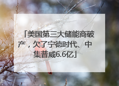 美国第三大储能商破产，欠了宁德时代、中集普威6.6亿