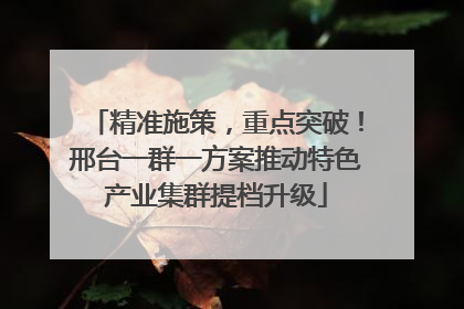 精准施策，重点突破！邢台一群一方案推动特色产业集群提档升级