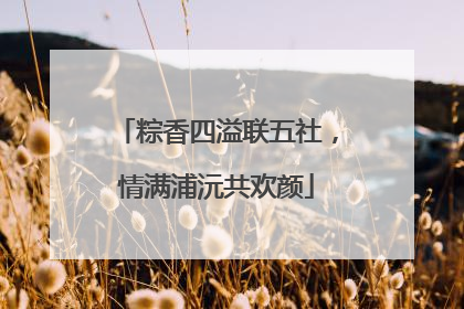 粽香四溢联五社，情满浦沅共欢颜